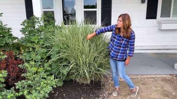 May Garden Tour! 🌿// Garden Answer