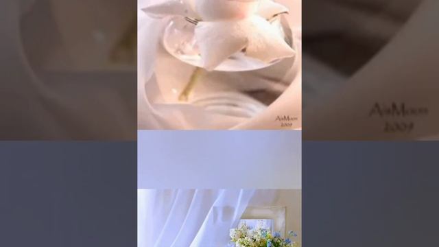 Нежность. Целебная медитация. Авторская музыка. смотреть онлайн