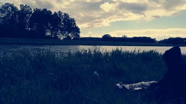 Alesis Q49 + Walk Band app + Zoom Ms70cdr/Nux Time Core Delay смотреть онлайн