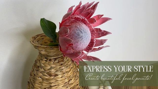 Unique Pink Protea Stem смотреть онлайн