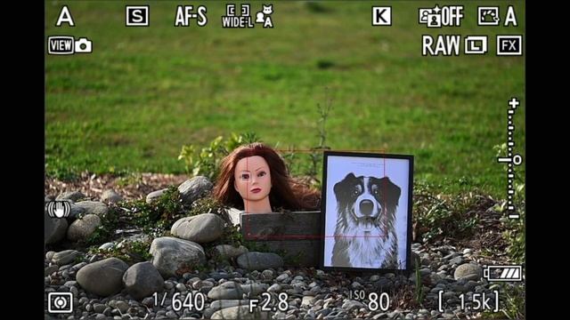 NIKON Z8 TUTO - 2 AUTOFOCUS