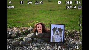 NIKON Z8 TUTO - 2 AUTOFOCUS