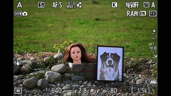 NIKON Z8 TUTO - 2 AUTOFOCUS