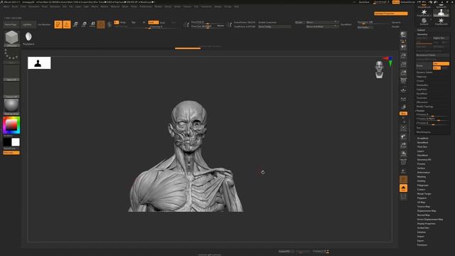 Using Split Screen mode in ZBrush to see your reference as you sculpt without it getting in the way смотреть онлайн