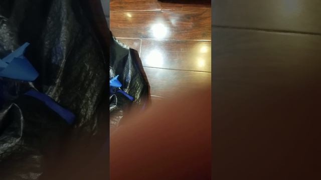 10/29/2021 Mold Eliminatorz Steven Vega vid 1 смотреть онлайн