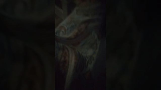 Щекотка девочек