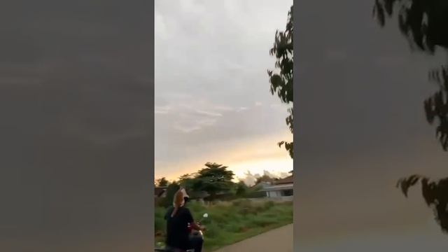 кот друг.MP4 смотреть онлайн