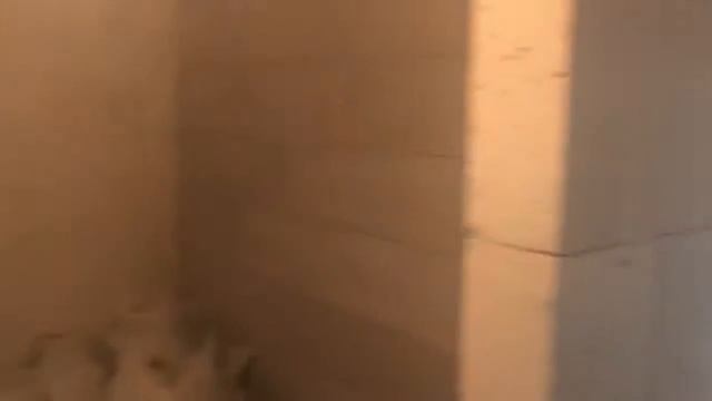 Зеленый мыс обзор май 2018 г смотреть онлайн