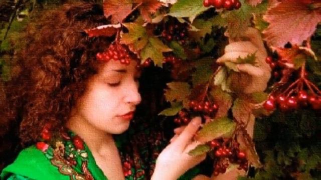 Не грусти, калина, над водою. смотреть онлайн