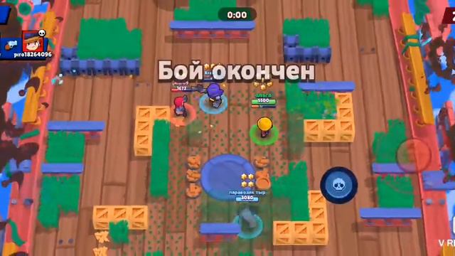 Утконосы победили, как так смотреть онлайн