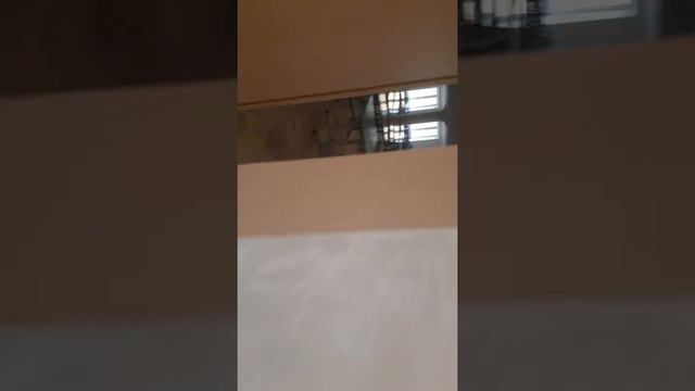 Всем смотреть₽Перламутровые краски в большом помещении ,выглядят очень красиво смотреть онлайн