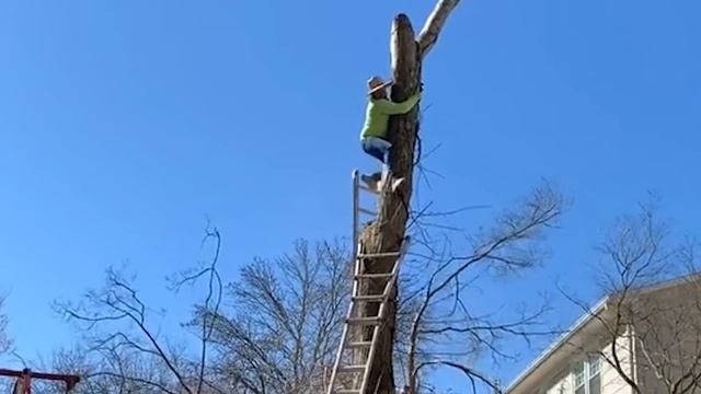 15 Людей, у Которых Был Плохой День на Работе смотреть онлайн