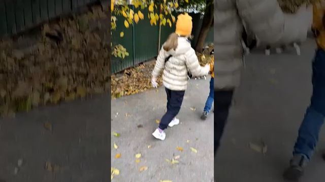 Кормим уток правильно: с кашей, хлебом и друзьями! смотреть онлайн