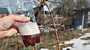 Чтобы малины было много делайте так весной в апреле! Уход подкормка обработка малины весной!