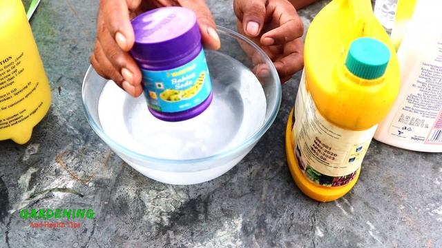 গাছের সব ধরনের রোগ পোকামাকড়ের খুব সহজ প্রতিকার || Home made Powerful pesticide for any Plants смотреть онлайн