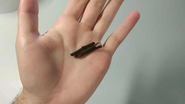 Наживка РУЧЕЙНИК (Шитик). Как найти и сохранить надолго