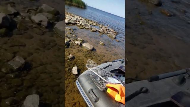 Ладога! Рыбалка огонь! смотреть онлайн