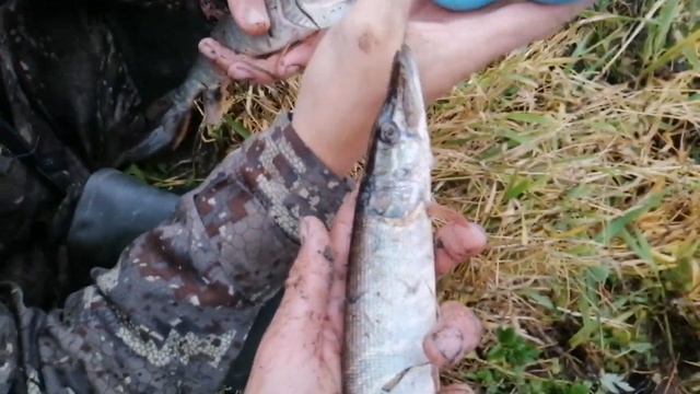 РЫБАЛКА НА РЕКЕ//ЛОВЛЯ НА ПАУК//ТЁПЛЫЕ ДЕНЬКИ ПРОВЕДЁННЫХ ОСЕНЬЮ НА РЕКЕ! смотреть онлайн