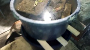 Зимовка пруда. Где будет зимовать рыба Комета и нимфеи?