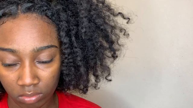 Styling An Old Twist-Out in 7 Ways (Natural Hair) смотреть онлайн
