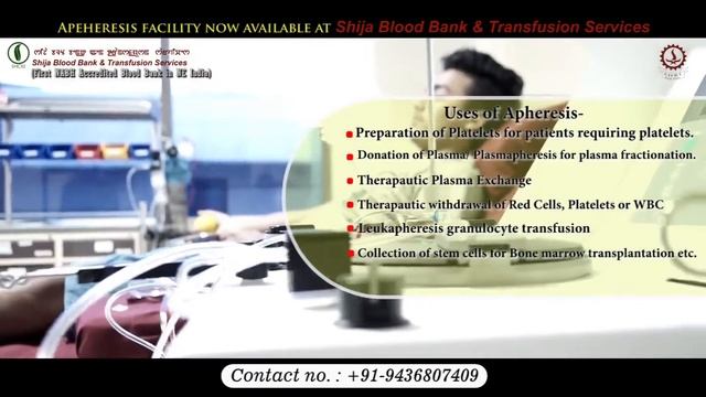 APHERESIS FACILITY IN SHIJA HOSPITALS смотреть онлайн