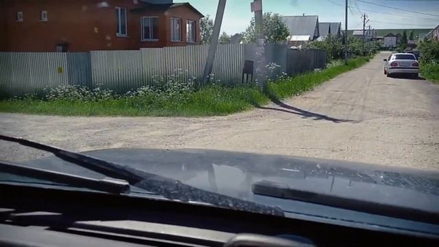 Монар. Среднеазиатская овчарка. смотреть онлайн