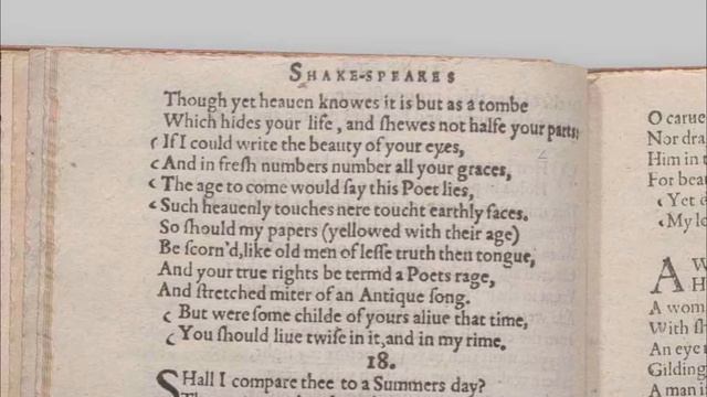 Shakespeare's Sonnet #17: "Who will believe my verse in time to come" смотреть онлайн