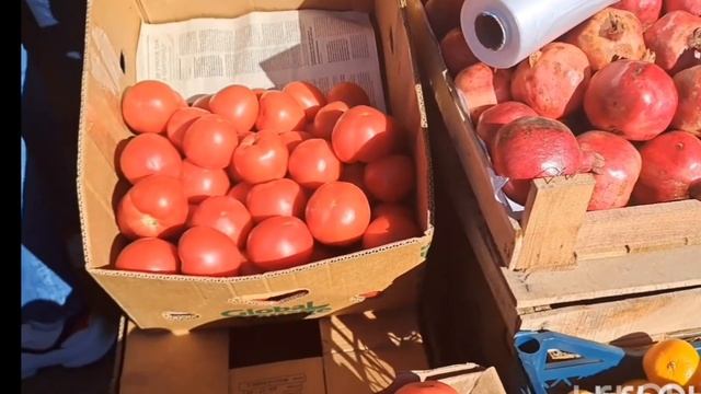 Цены на фрукты удивили ?Оптовый рынок в воскресенье? #кубань #тихорецк #цены смотреть онлайн