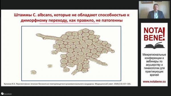 NOTA BENE! А.Л. Тихомиров. Актуальные принципы лечения острого кандидозного вульвовагинита