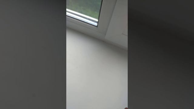 фингер парк из картона смотреть онлайн