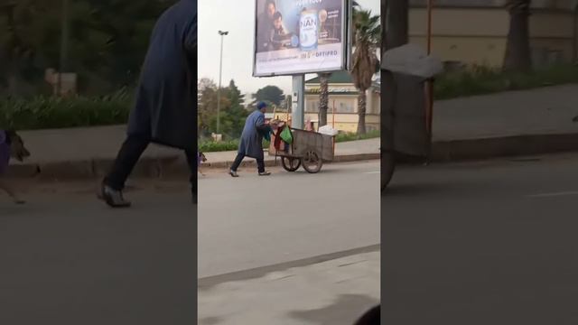 مواطن فاسي مغطي كلب ديالو من الشتاء الراحمون يرحمهم الله смотреть онлайн