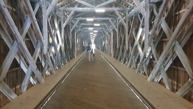Мост. Он же Старый Rheinbrücke. (Лихтенштейн- Швейцария) смотреть онлайн