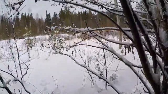 Как не замёрзнуть и разжечь костёр