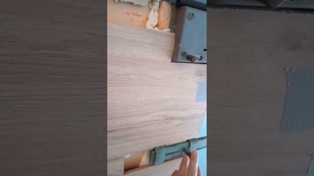 Утепляем и зашиваем дверь