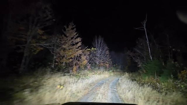 Closed Bridge Vlog Nature Watching At Night смотреть онлайн