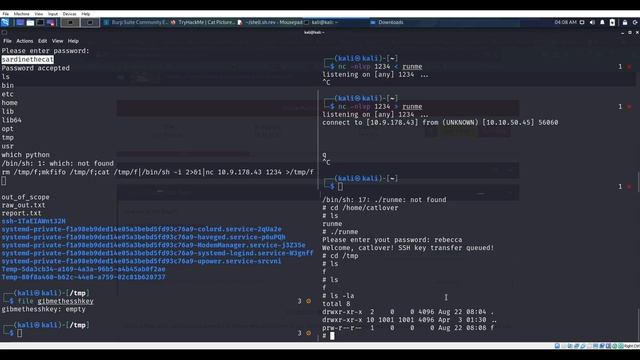 Cat Pictures - CTF walkthrough - Tryhackme смотреть онлайн