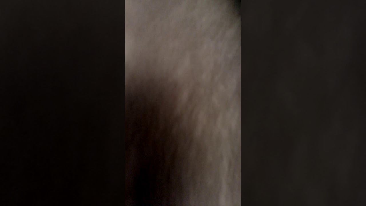 Скрепыши все которые есть у меня