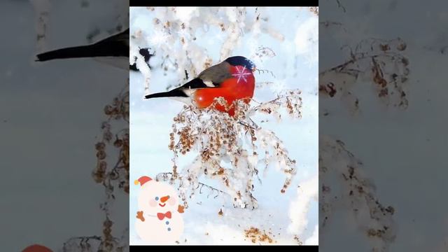 Просто февраль смотреть онлайн