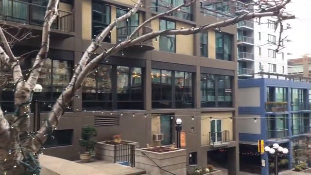 Поездка на водном такси в West Seattle -это круто даже зимой! Water taxi in Western Seattle смотреть онлайн