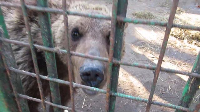 Марьям смотреть онлайн