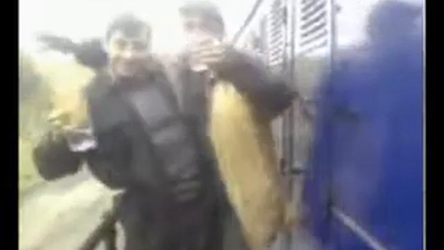 УЖДТ.wmv смотреть онлайн