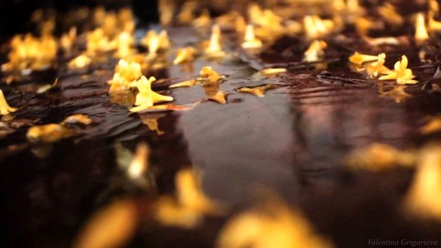 Забывание /Вадим Шефнер/ смотреть онлайн