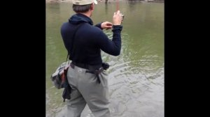 Сима на Smith D-Contact 63