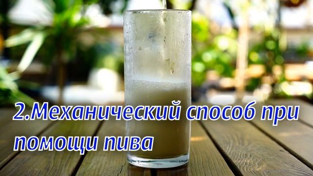 Борьба с УЛИТКАМИ и СЛИЗНЯМИ на приусадебном участке 3 эффективных метода смотреть онлайн