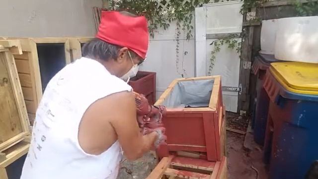 Red's Bidyo: DIY painting Trellised Planters using wagner flexio 590. смотреть онлайн