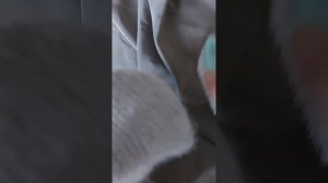 Как распушить шапку из пуха норки