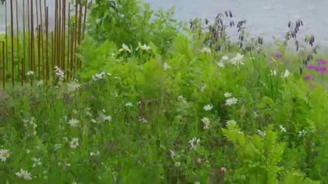 Gardeners World Season Episode 12 (June 09, 2017)