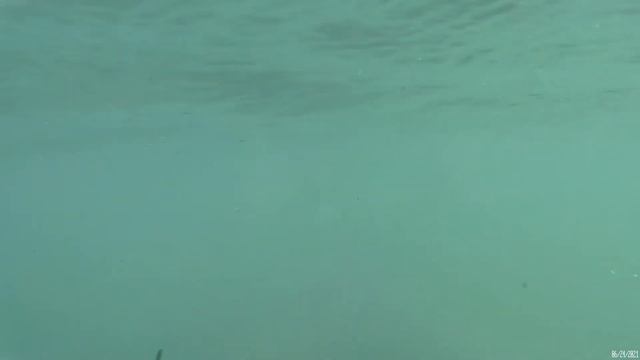 Крым, с Стерегущее 2021г Мы на пляже все вместе.))) смотреть онлайн