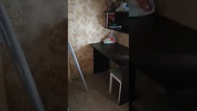 Сдается 2 к.кв. на длительный срок недорого смотреть онлайн