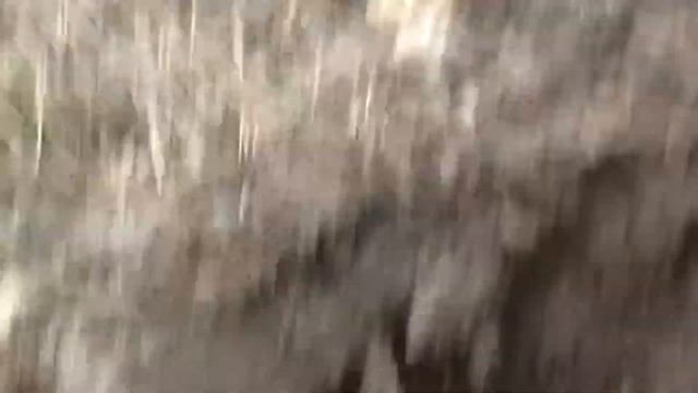 Редкая монета EQUINOX 800 смотреть онлайн